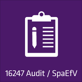 16247 Audit / SpaEfv