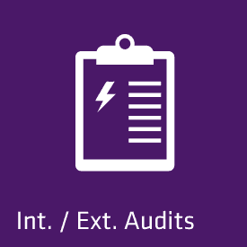 Int. / Ext. Audits