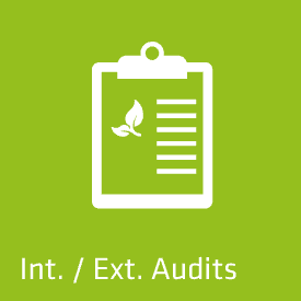 Int. / Ext. Audits